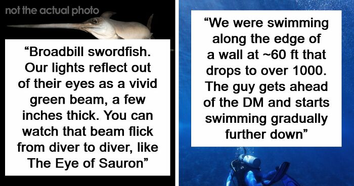“The Grim Reaper”: 49 Diving Stories That Sound Like Scenes From A Horror Movie