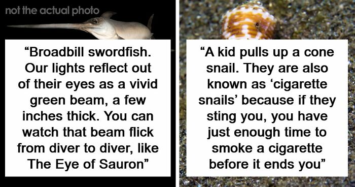 “The Grim Reaper”: 49 Diving Stories That Sound Like Scenes From A Horror Movie
