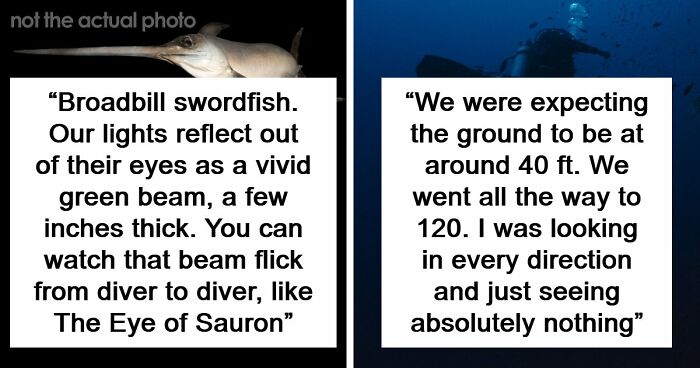 “The Grim Reaper”: 49 Diving Stories That Sound Like Scenes From A Horror Movie