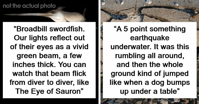 “The Grim Reaper”: 49 Diving Stories That Sound Like Scenes From A Horror Movie