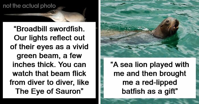 “The Grim Reaper”: 49 Diving Stories That Sound Like Scenes From A Horror Movie