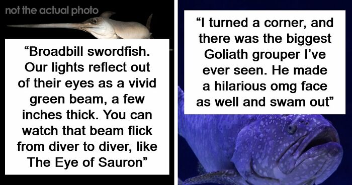 “The Grim Reaper”: 49 Diving Stories That Sound Like Scenes From A Horror Movie