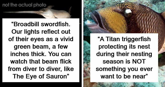 “The Grim Reaper”: 49 Diving Stories That Sound Like Scenes From A Horror Movie