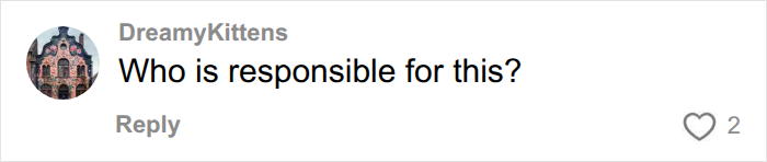 A user comment questioning who is responsible for the infuriating endometriosis studies.