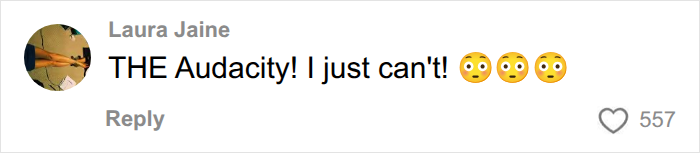 A social media comment from Laura Jaine exclaiming The Audacity! about endometriosis studies.