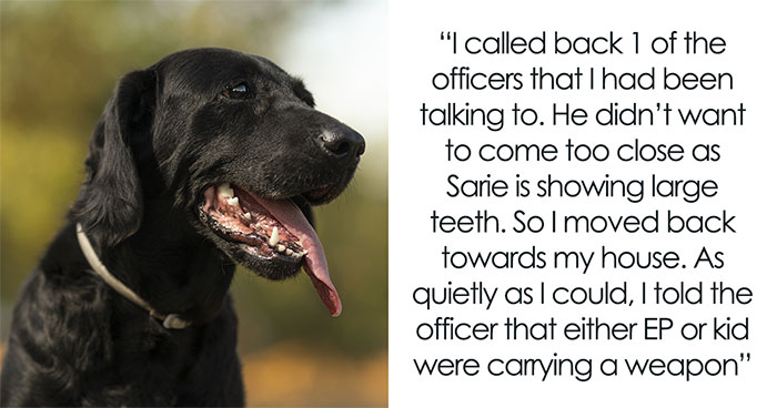 Kids Torment Dog Every Day Until Woman Lets It Loose, Karen Mom Calls Cops But Karma Acts Faster
