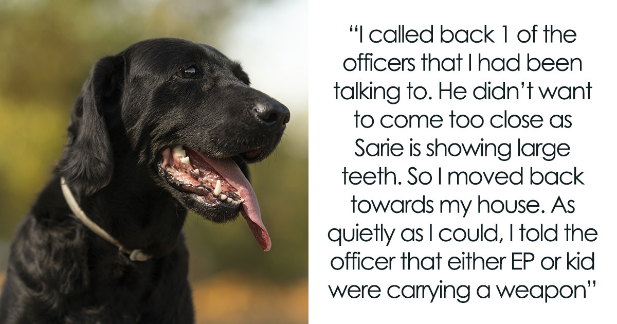 Kids Torment Dog Every Day Until Woman Lets It Loose, Karen Mom Calls Cops But Karma Acts Faster