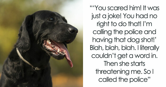 Kids Torment Dog Every Day Until Woman Lets It Loose, Karen Mom Calls Cops But Karma Acts Faster