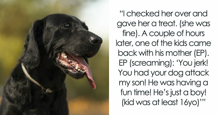 Kids Torment Dog Every Day Until Woman Lets It Loose, Karen Mom Calls Cops But Karma Acts Faster