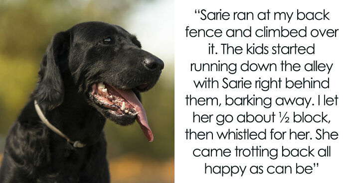 Kids Torment Dog Every Day Until Woman Lets It Loose, Karen Mom Calls Cops But Karma Acts Faster