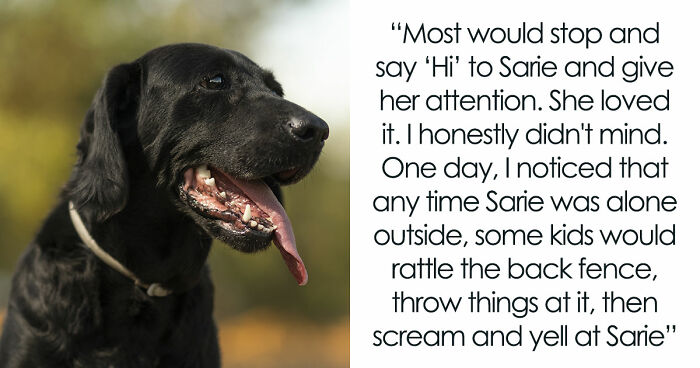 Kids Torment Dog Every Day Until Woman Lets It Loose, Karen Mom Calls Cops But Karma Acts Faster