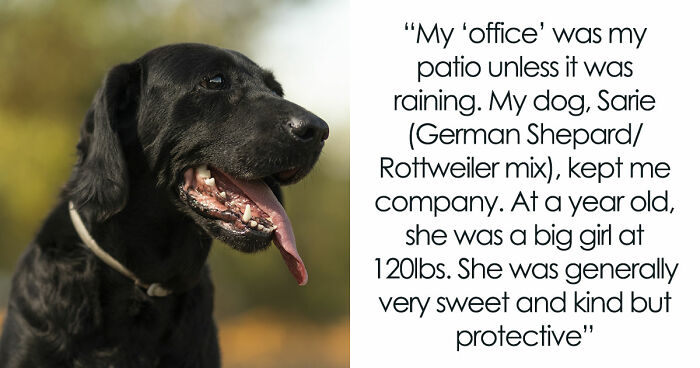 Kids Torment Dog Every Day Until Woman Lets It Loose, Karen Mom Calls Cops But Karma Acts Faster