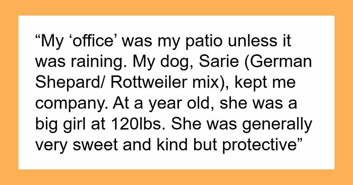 Kids Torment Dog Every Day Until Woman Lets It Loose, Karen Mom Calls Cops But Karma Acts Faster