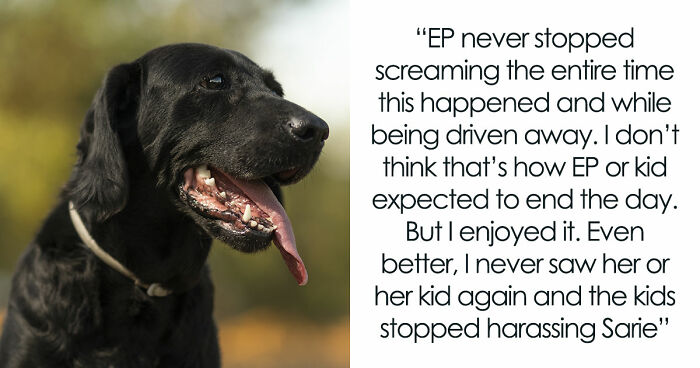 Kids Torment Dog Every Day Until Woman Lets It Loose, Karen Mom Calls Cops But Karma Acts Faster