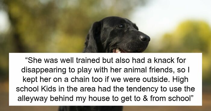 Kids Torment Dog Every Day Until Woman Lets It Loose, Karen Mom Calls Cops But Karma Acts Faster
