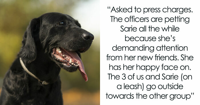 Kids Torment Dog Every Day Until Woman Lets It Loose, Karen Mom Calls Cops But Karma Acts Faster