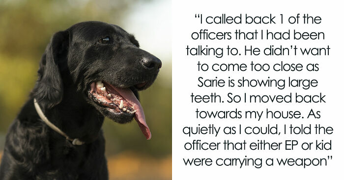 Kids Torment Dog Every Day Until Woman Lets It Loose, Karen Mom Calls Cops But Karma Acts Faster