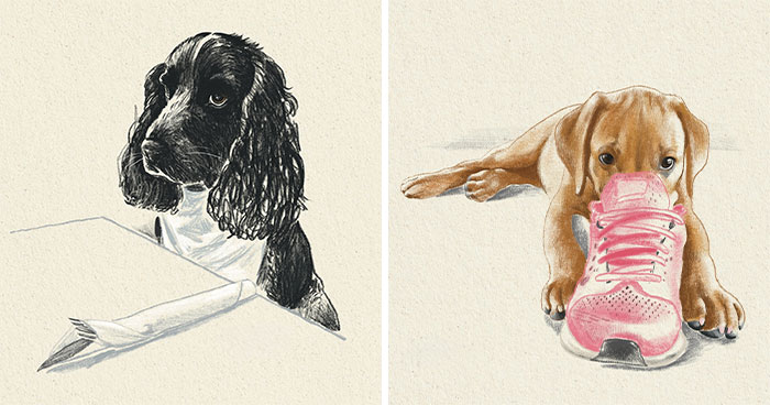 This Artist Draws Dog Portraits That Perfectly Capture Each Pet’s Personality (76 Pics)