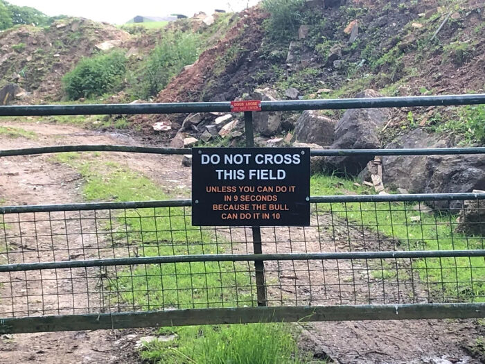 A funny sign on a gate warning about a bull in the field, found in the wild.