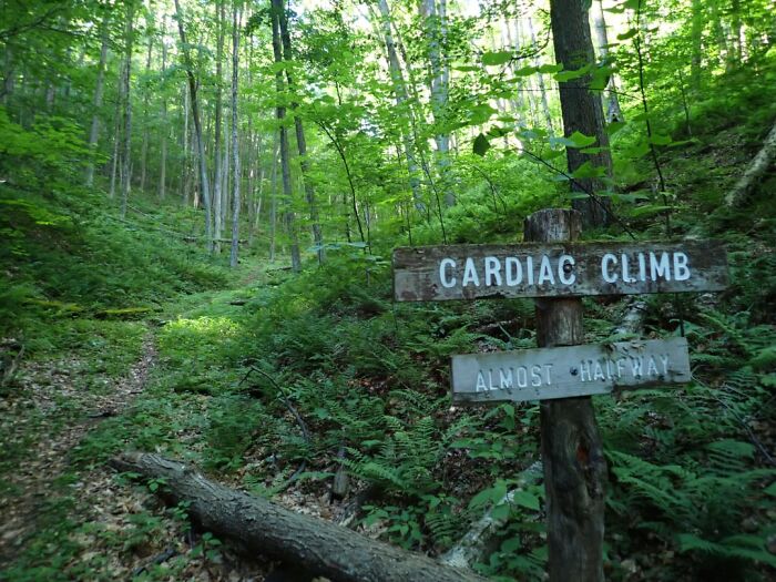 Funny signs in the wild: Wooden signs in a forest indicate CARDIAC CLIMB and ALMOST HALFWAY.
