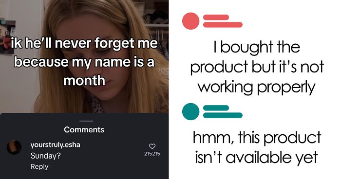 “Hippo Crisps”: 47 Wild TikTok Screenshots That Cost Readers Several Brain Cells (New Pics)