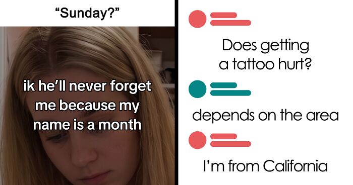 “Hippo Crisps”: 47 Wild TikTok Screenshots That Cost Readers Several Brain Cells (New Pics)