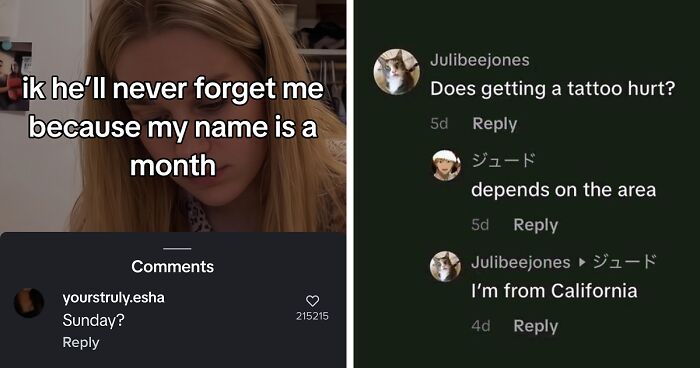 “Hippo Crisps”: 47 Wild TikTok Screenshots That Cost Readers Several Brain Cells (New Pics)