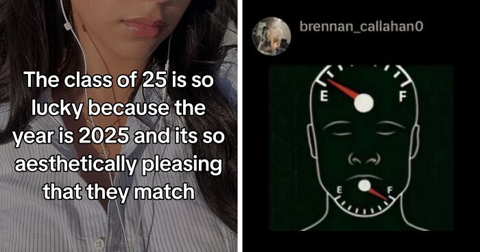 “Hippo Crisps”: 47 Wild TikTok Screenshots That Cost Readers Several Brain Cells (New Pics)
