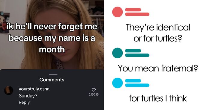 “Hippo Crisps”: 47 Wild TikTok Screenshots That Cost Readers Several Brain Cells (New Pics)