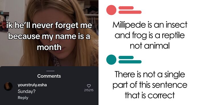 “Hippo Crisps”: 47 Wild TikTok Screenshots That Cost Readers Several Brain Cells (New Pics)