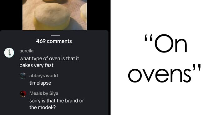 “Hippo Crisps”: 47 Wild TikTok Screenshots That Cost Readers Several Brain Cells (New Pics)