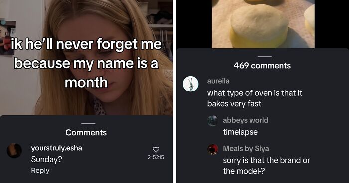 “Hippo Crisps”: 47 Wild TikTok Screenshots That Cost Readers Several Brain Cells (New Pics)