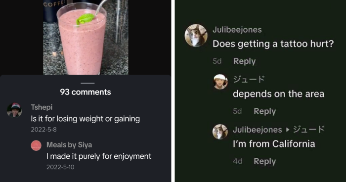 “Hippo Crisps”: 47 Wild TikTok Screenshots That Cost Readers Several Brain Cells (New Pics)