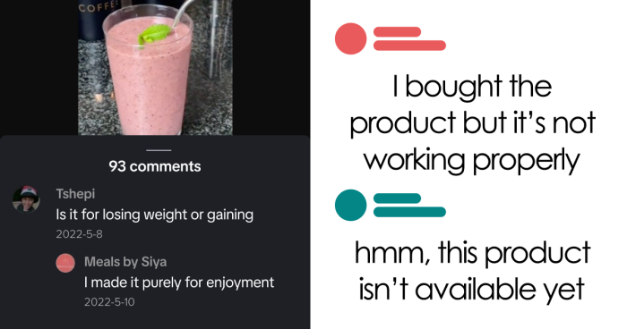 “Hippo Crisps”: 47 Wild TikTok Screenshots That Cost Readers Several Brain Cells (New Pics)