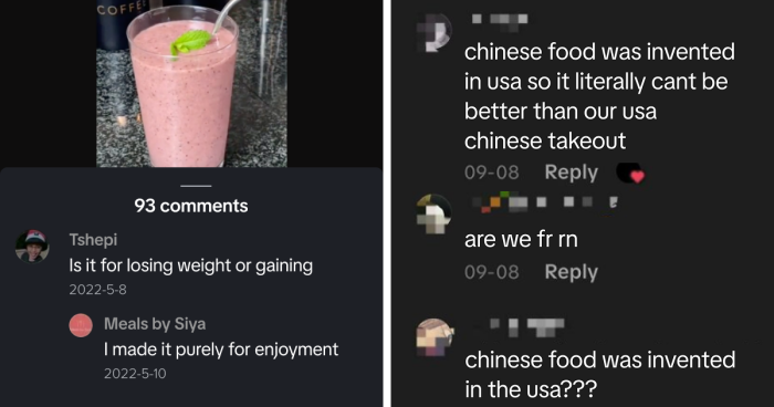 “Hippo Crisps”: 47 Wild TikTok Screenshots That Cost Readers Several Brain Cells (New Pics)