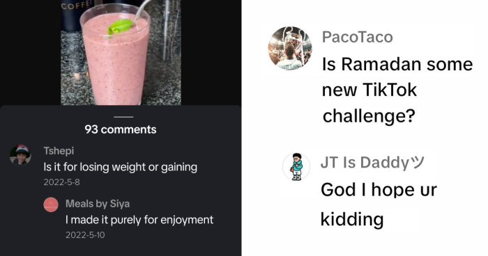 “Hippo Crisps”: 47 Wild TikTok Screenshots That Cost Readers Several Brain Cells (New Pics)