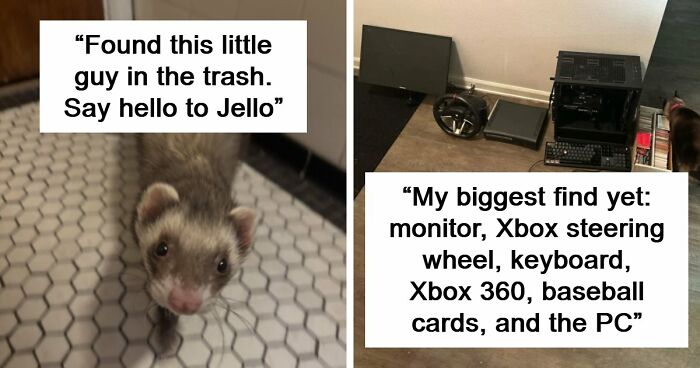 105 Times People Couldn’t Believe Their Luck While Dumpster Diving (New Pics)