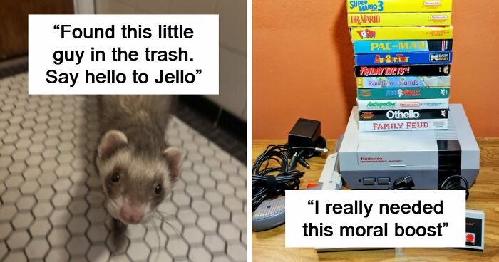 105 Times People Couldn’t Believe Their Luck While Dumpster Diving (New Pics)