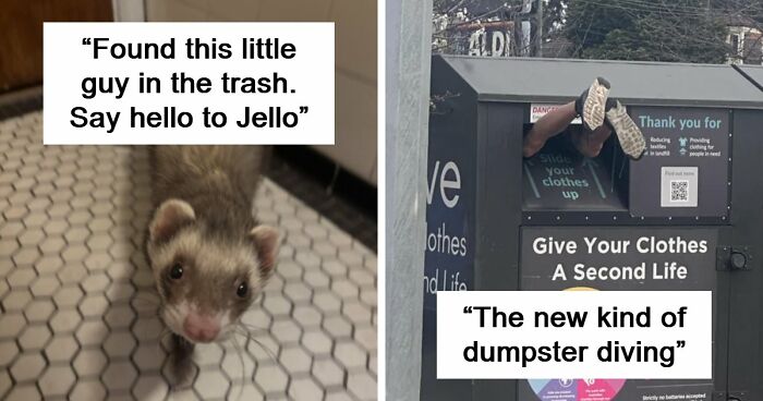 105 Times People Couldn’t Believe Their Luck While Dumpster Diving (New Pics)