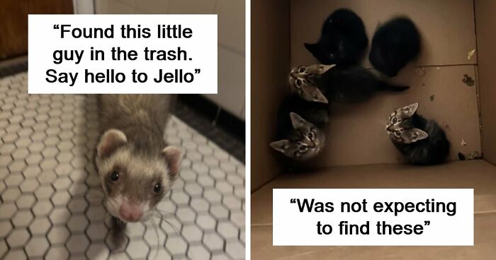 105 Times People Couldn’t Believe Their Luck While Dumpster Diving (New Pics)