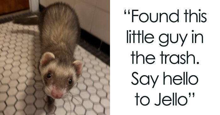 105 Times People Couldn’t Believe Their Luck While Dumpster Diving (New Pics)