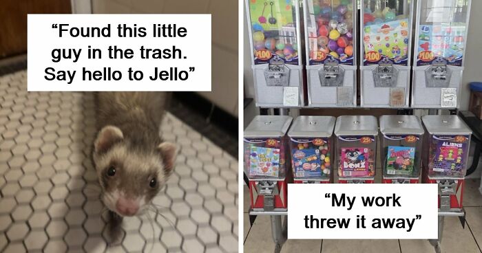 105 Times People Couldn’t Believe Their Luck While Dumpster Diving (New Pics)