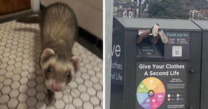105 Times People Couldn’t Believe Their Luck While Dumpster Diving (New Pics)