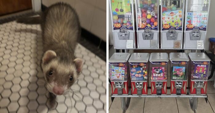 105 Times People Couldn’t Believe Their Luck While Dumpster Diving (New Pics)