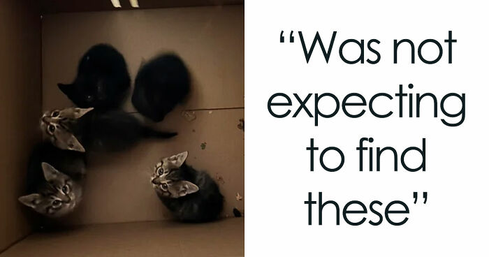 105 Times People Couldn’t Believe Their Luck While Dumpster Diving (New Pics)