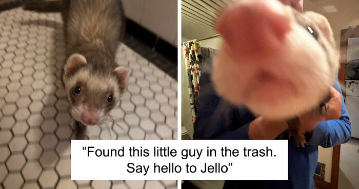 105 Times People Couldn’t Believe Their Luck While Dumpster Diving (New Pics)