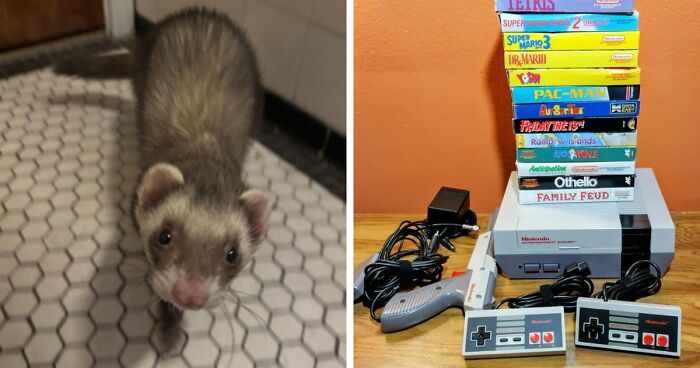 105 Times People Couldn’t Believe Their Luck While Dumpster Diving (New Pics)