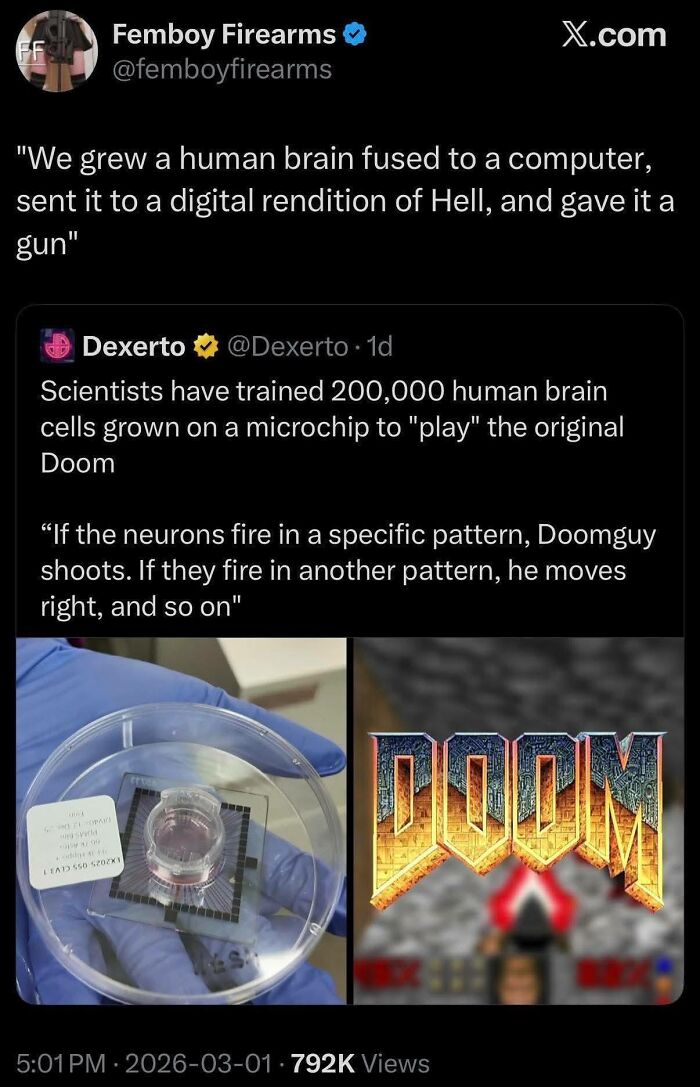 Human brain cells on microchip trained to play Doom video game