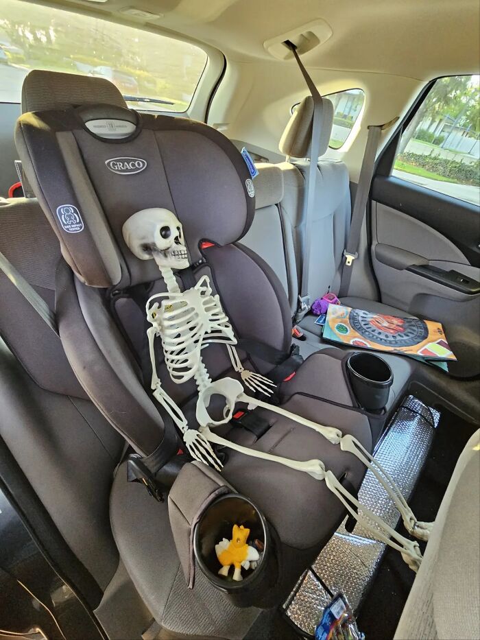 A skeleton sits buckled into a car seat in the back of a vehicle, a bizarre image raising questions.