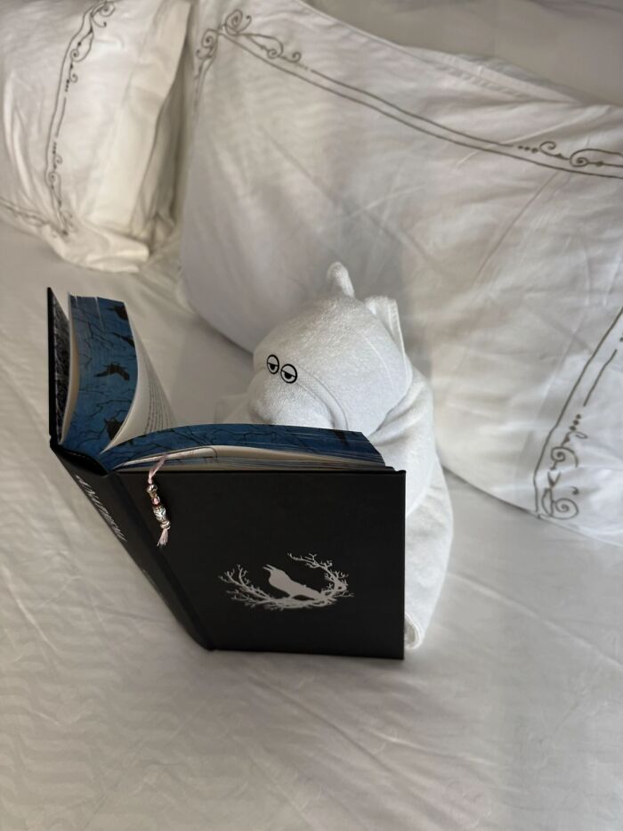 A bizarre folded towel animal with googly eyes reading a book in a neatly made bed.